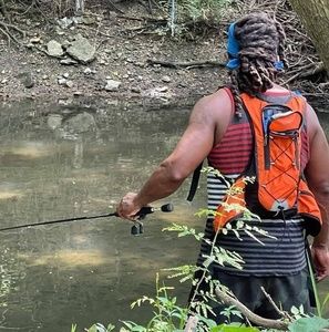 Meet your Posher, Cornelius